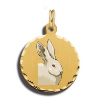 Rabbit Charm