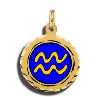 Aquarius Charm