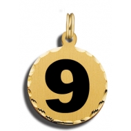  9 Charm