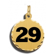  29 Charm