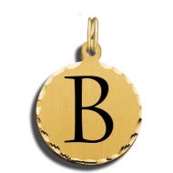 B Charm