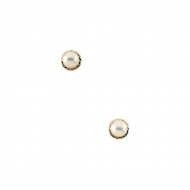 14K Yellow Gold Button Pearl Earring