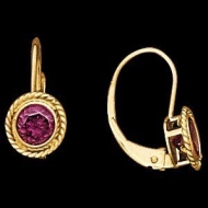 14K Yellow Gold Teen LeverBack Rope Bezel Earring