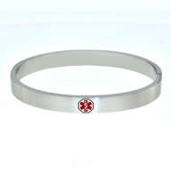 Stainless Steel Women s Bangle Bracelet