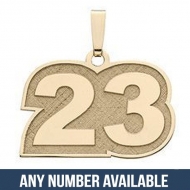 Number Charm or  Pendant with 2 Digits