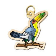 Toucan Charm