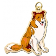 Dog   Collie Charm