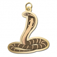 Snake   Cobra Charm