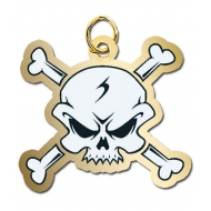 Crossbones Charm