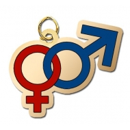 Male and Female Symbol Charm