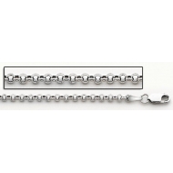 14K White Gold Rolo Chain