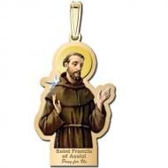 Saint Francis of Assisi Outlined Medal   Color EXCLUSIVE 