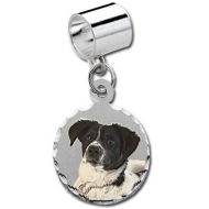 Sterling Silver Petite Round Pandora Style Picture Charm