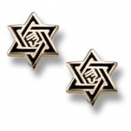 14K Yellow Gold Children s  Star of David  Enamel Earrings