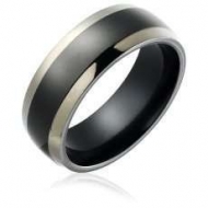 Titanium Two tone 7mm Polished Wedding Band
