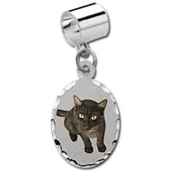 Sterling Silver Petite Oval Pandora Style Picture Charm