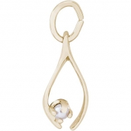 WISHBONE