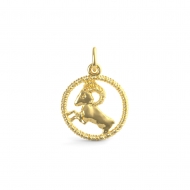 ARIES