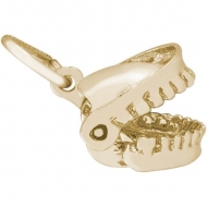 FALSE TEETH