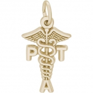 PT ASSISTANT