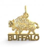 NEW YORK BUFFALO