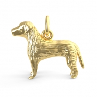 DOG LABRADOR
