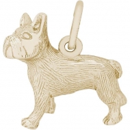 DOG FRENCH BULLDOG