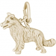 DOG BORDER COLLIE