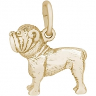 DOG BULLDOG
