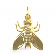 FLY