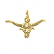 STEER