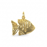 FISH ANGELFISH