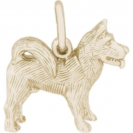 DOG AKITA