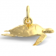 TORTOISE