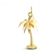 PALM TREE