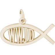 WWJD FISH