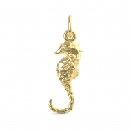 SEAHORSE