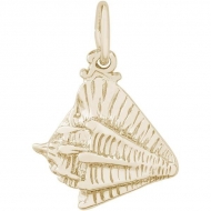 CONCH SHELL