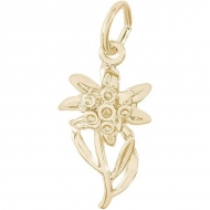 EDELWEISS