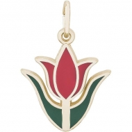TULIP W PAINT ENGRAVABLE