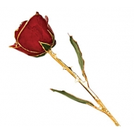 Lacquered Red Rose