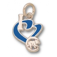 Chicago Cubs 1 2 Inch Medallion