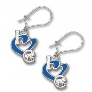 Chicago Cubs 1 2 Inch Earrings