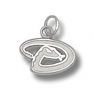 Arizona Diamondbacks 3 8 Inch Charm