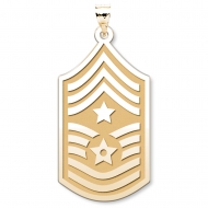 Unites States Air Force Command Chief Master Sergeant Pendant