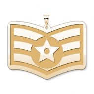 U S AirForce National Guard Senior Airman Pendant