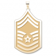 U S AirForce National Guard Senior Master Sergeant Pendant