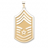 U S AirForce National Guard Chief Master Sergeant Pendant