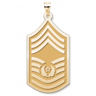 U S AirForce National Guard Chief Master Sergeant of the Air Force Pendant