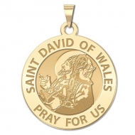 Saint David of Wales Medal  EXCLUSIVE 